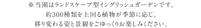 ※当園はランドスケープ型イングリッシュガーデンです。約300種類を上回る植物が季節に応じ、移り変わる姿と景観をごゆっくりお楽しみください。