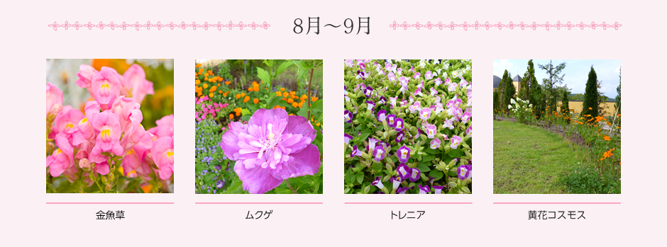 8月~9月